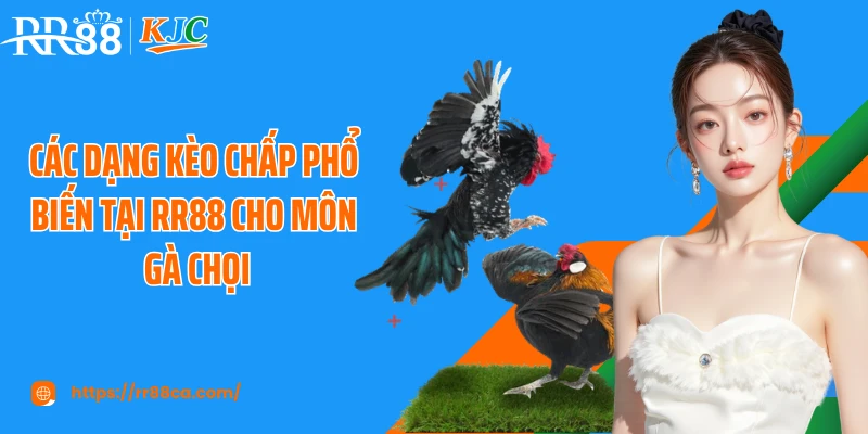 Các dạng kèo chấp phổ biến tại RR88 cho môn gà chọi