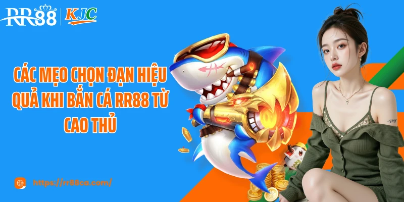 Các mẹo chọn đạn hiệu quả khi bắn cá RR88 từ cao thủ