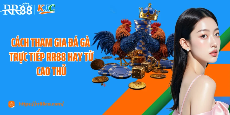 Cách tham gia đá gà trực tiếp RR88 hay từ cao thủ