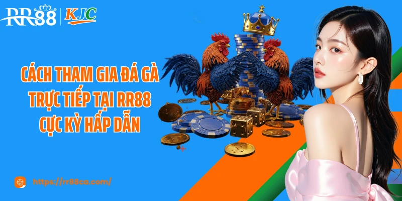 Cách tham gia đá gà trực tiếp tại RR88 cực kỳ hấp dẫn