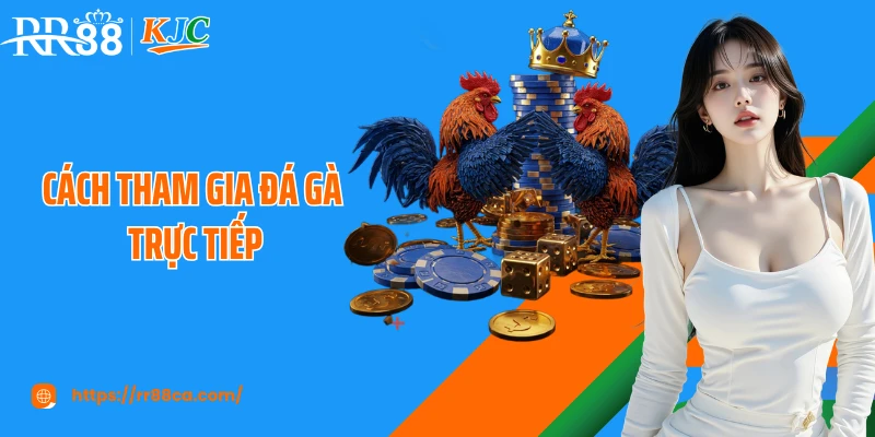 Cách Tham Gia Đá Gà Trực Tiếp Tại RR88 An Toàn Cho Người Mới