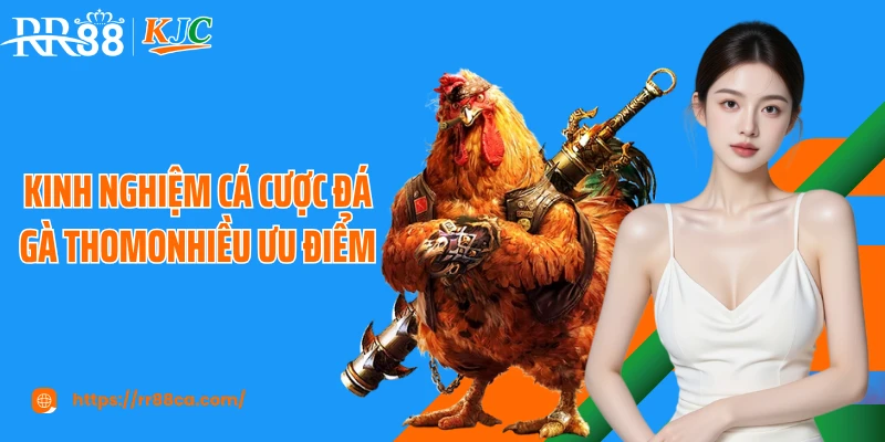 Kinh nghiệm cá cược đá gà Thomo