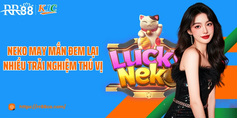 Neko may mắn đem lại nhiều trải nghiệm thú vị