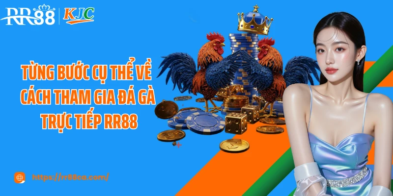 Từng bước cụ thể về cách tham gia đá gà trực tiếp RR88